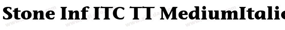 Stone Inf ITC TT MediumItalic字体转换